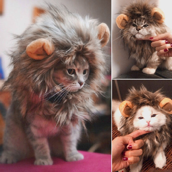 Kute Lion Mane Cat Costume